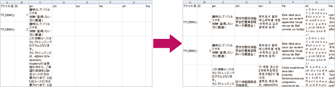 翻訳されたExcel